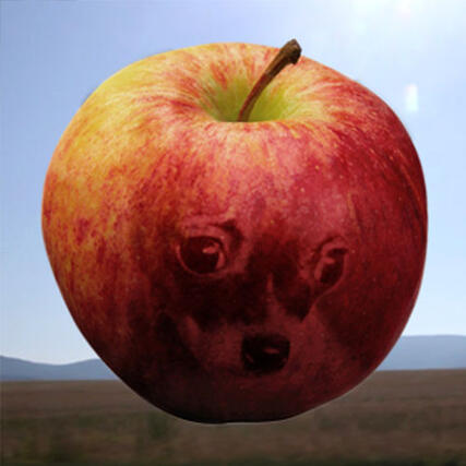 Chejv mej nΓΌ j angst Een chihuahua, AndrΓ© Hazes en de complexe situatie van de Roma. (KoΕ‘ice SK, We are Citizens)
